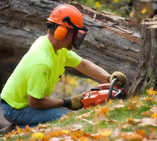 tree services Baxter